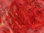 Mayfly Country Small/Medium Cock Feathers Scarlet